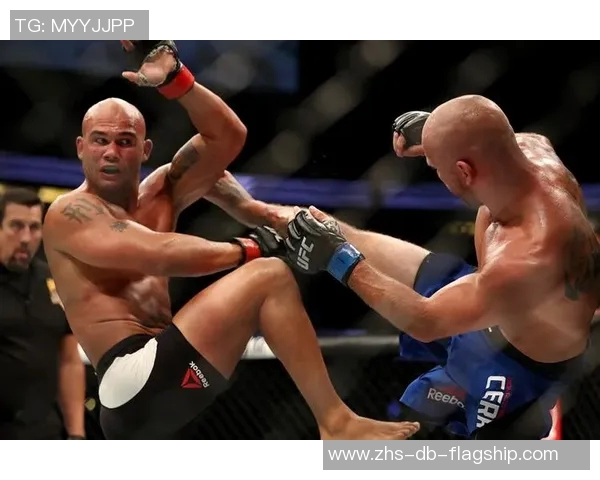 UFC214科米尔与琼斯巅峰对决揭示拳坛新格局的精彩瞬间